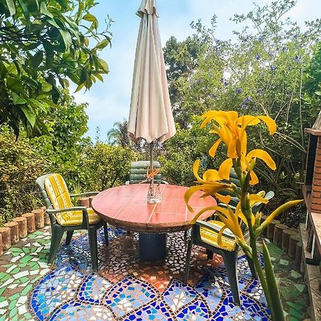 Canarian Cottage With Terrace Surrounded By Garden - Alisios La Orotava Exterior photo