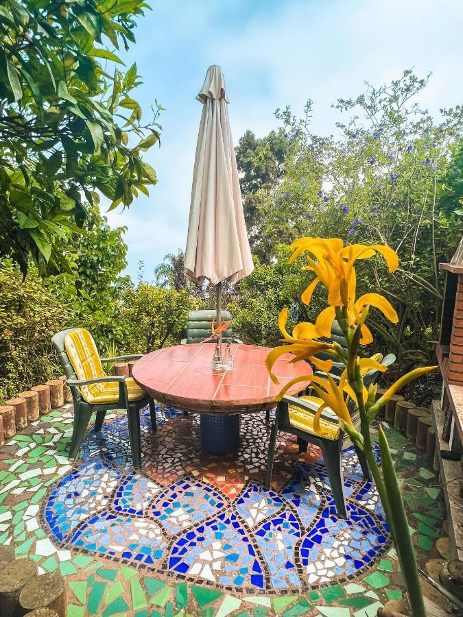 Canarian Cottage With Terrace Surrounded By Garden - Alisios La Orotava Exterior photo