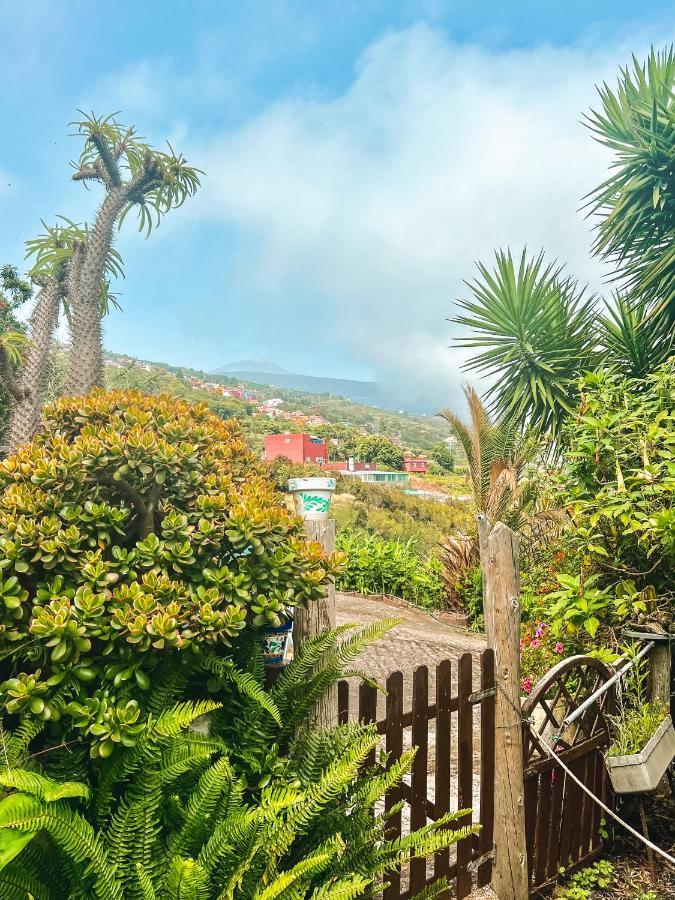 Canarian Cottage With Terrace Surrounded By Garden - Alisios La Orotava Exterior photo