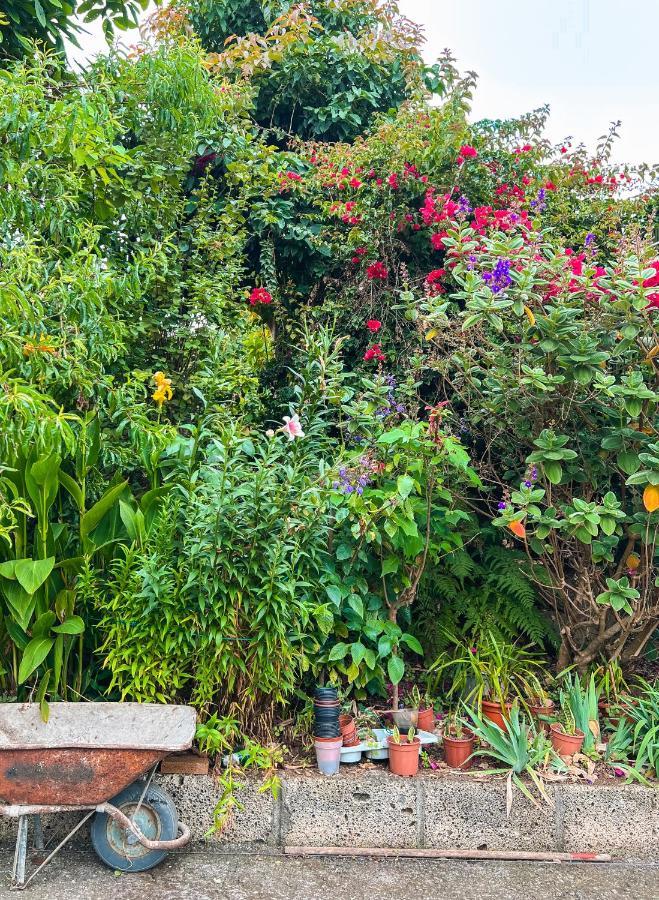Canarian Cottage With Terrace Surrounded By Garden - Alisios La Orotava Exterior photo