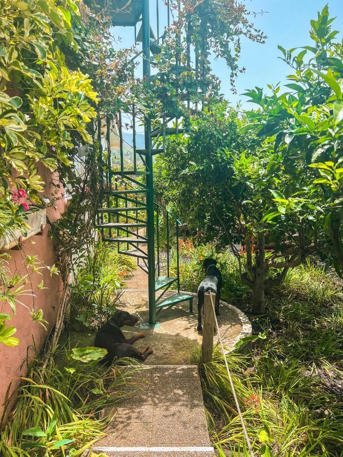 Canarian Cottage With Terrace Surrounded By Garden - Alisios La Orotava Exterior photo