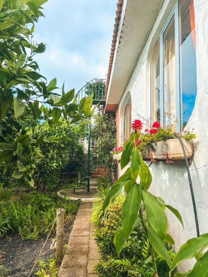 Canarian Cottage With Terrace Surrounded By Garden - Alisios La Orotava Exterior photo