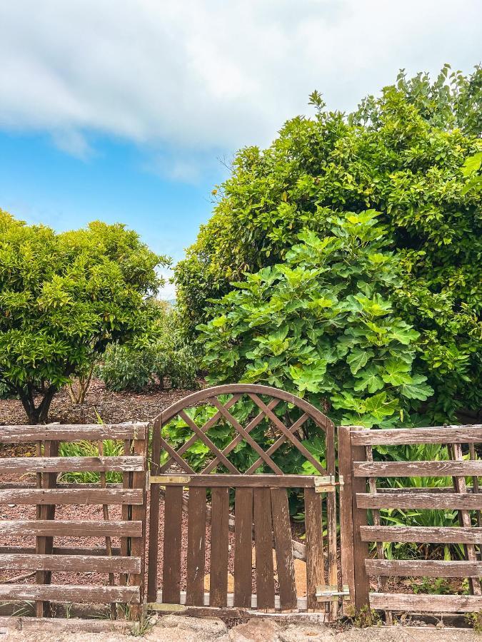 Canarian Cottage With Terrace Surrounded By Garden - Alisios La Orotava Exterior photo